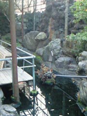 施工前の写真