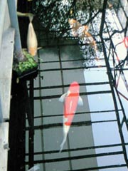 施工前の写真
