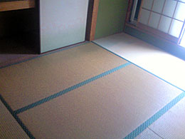 既存畳撤去
